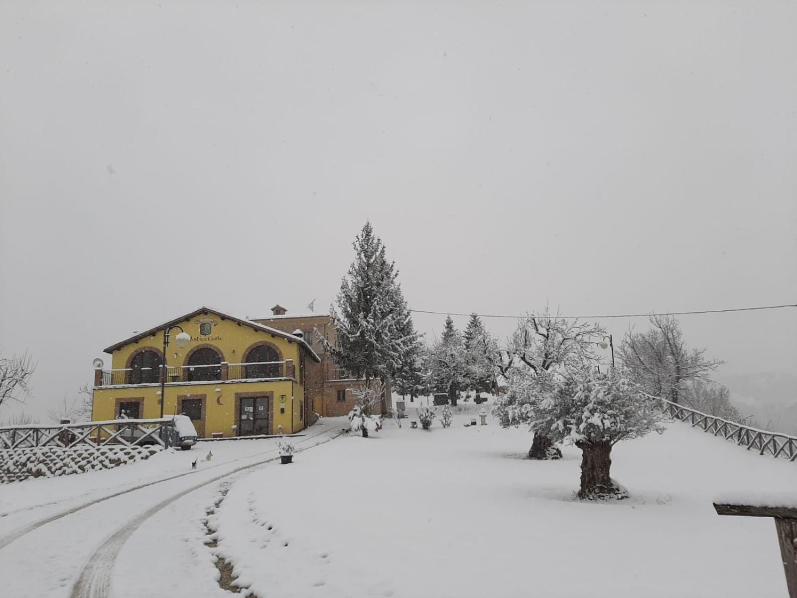 Agriturismo Antica Corte Montatteglia Екстериор снимка