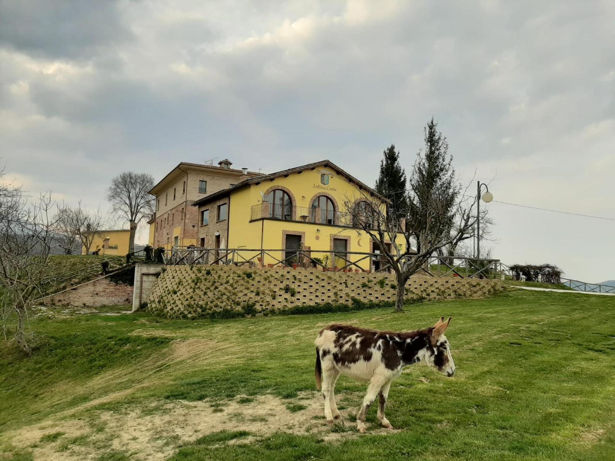 Agriturismo Antica Corte Montatteglia Екстериор снимка
