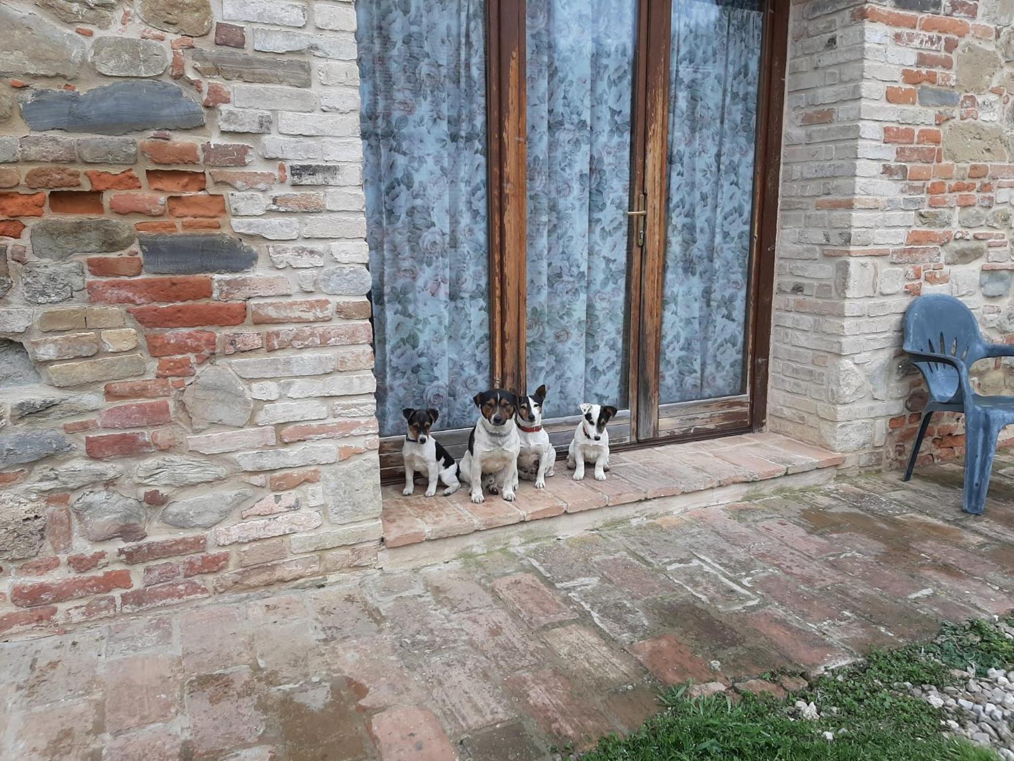 Agriturismo Antica Corte Montatteglia Екстериор снимка